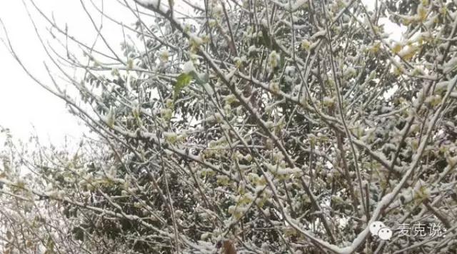 20180502214201.jpg